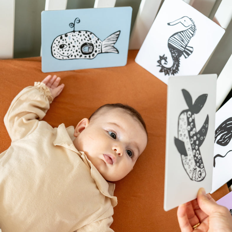 Mini Coco Zintuiglijke Kaarten Baby Flash Cards | Safari