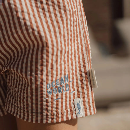 Little Dutch Zwembroek | Ocean Brown Stripes