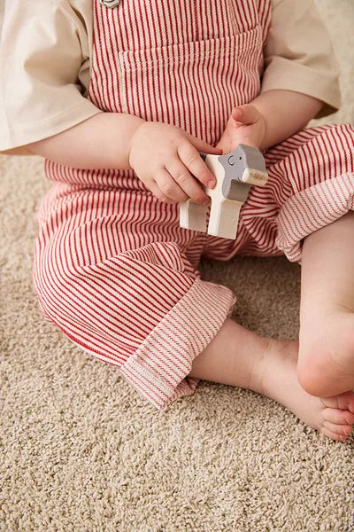 Kid's Concept Boerderij Dieren Aiden