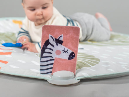 Taf Toys Savannah Activity Gym