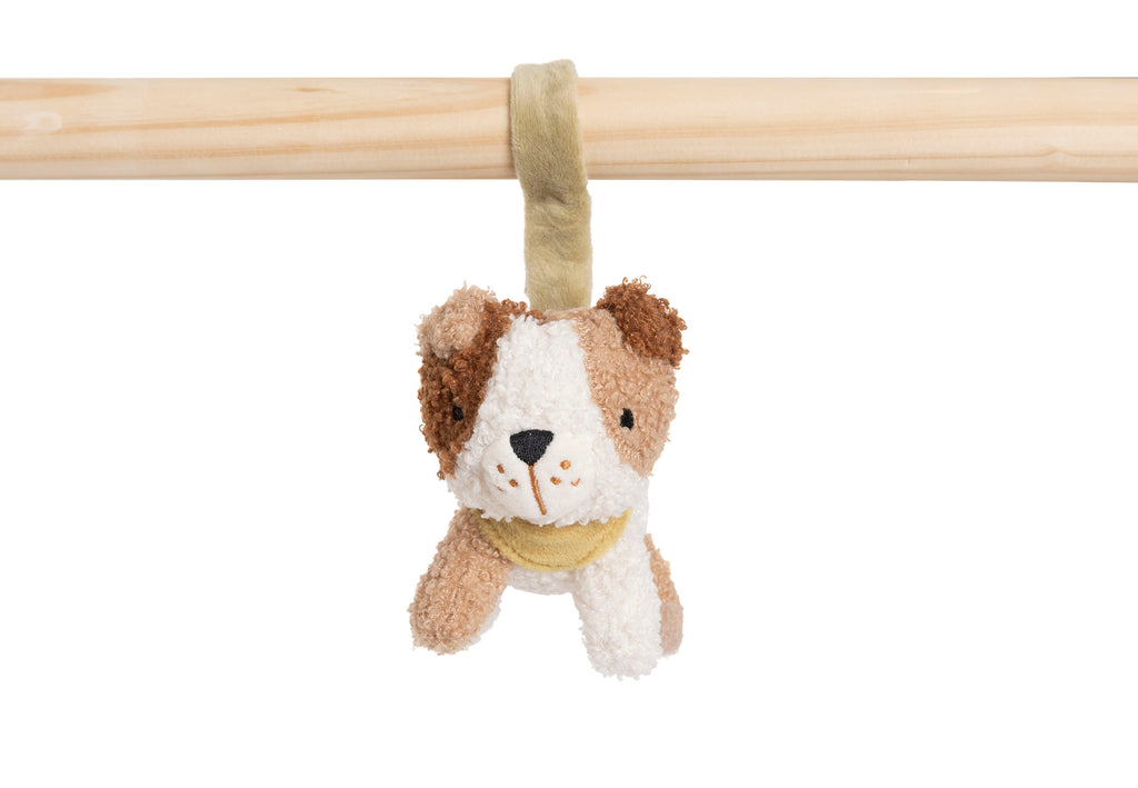 Jollein Babygym Speeltjes | Tiny Park