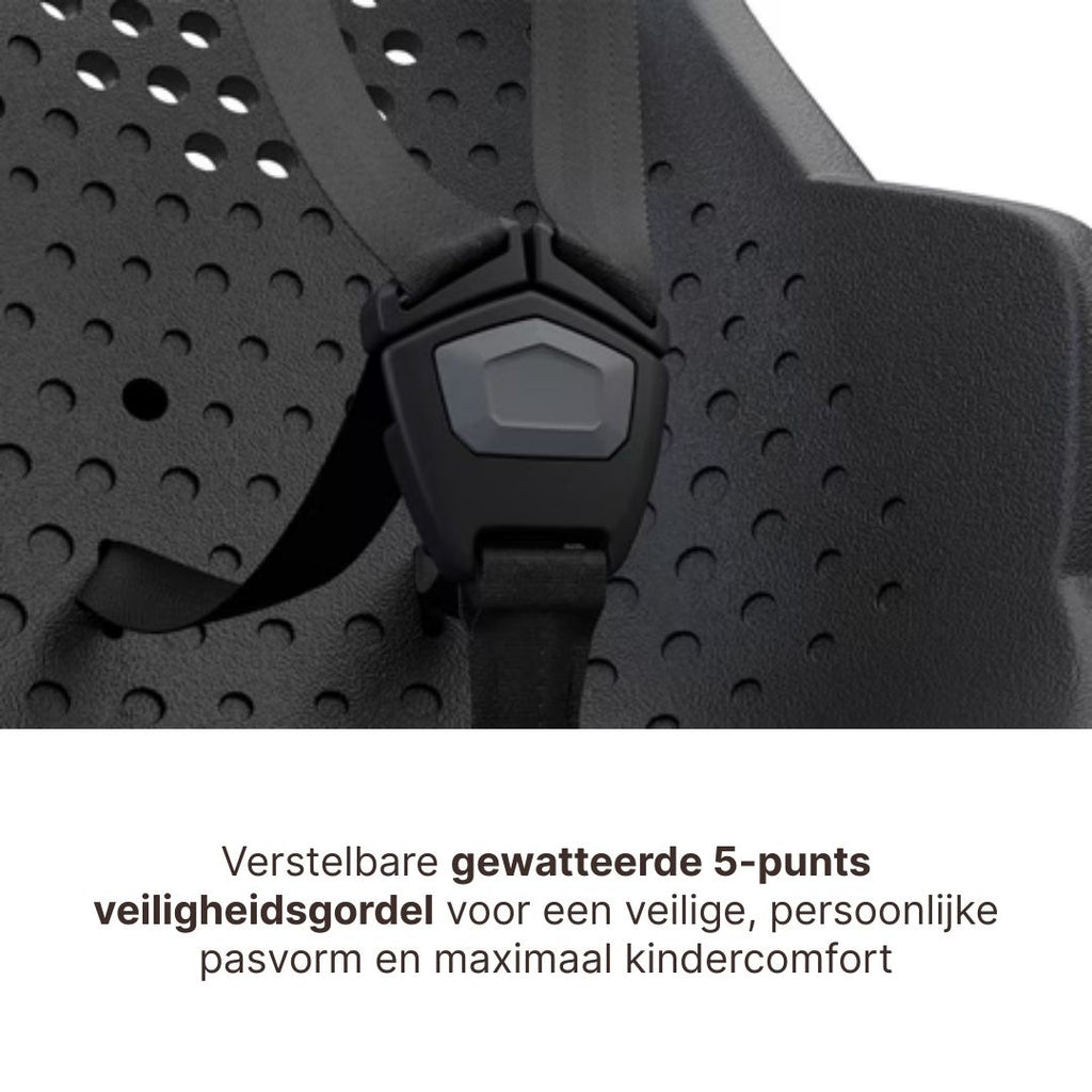 Thule Yepp 2 Maxi Fietsstoel Achterop Frame Montage | Agave