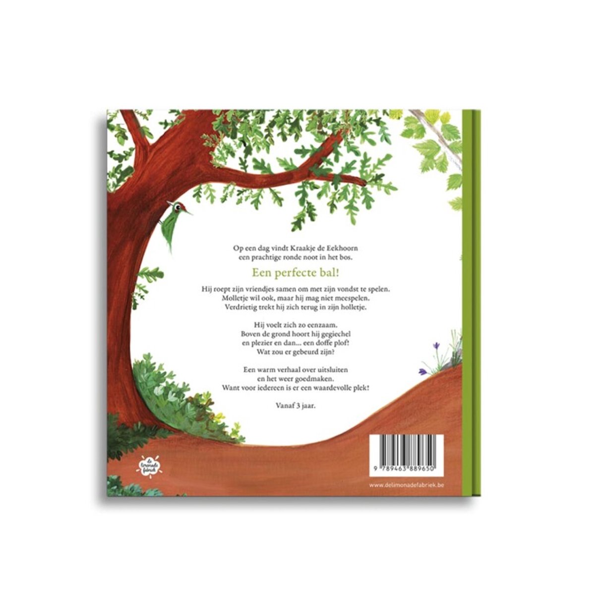 De Limonadefabriek Leesboek I Molletje Mag Niet Meespelen