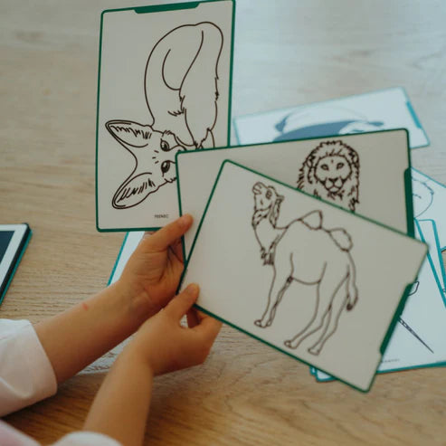 Kidywolf Navulling Voor Kidydraw-Mini Tablet | Dieren Over De Hele Wereld - Oceanen & Piraten