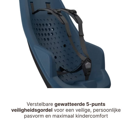 Thule Yepp 2 Maxi Fietsstoel Achterop Frame Montage | Majolica Blue