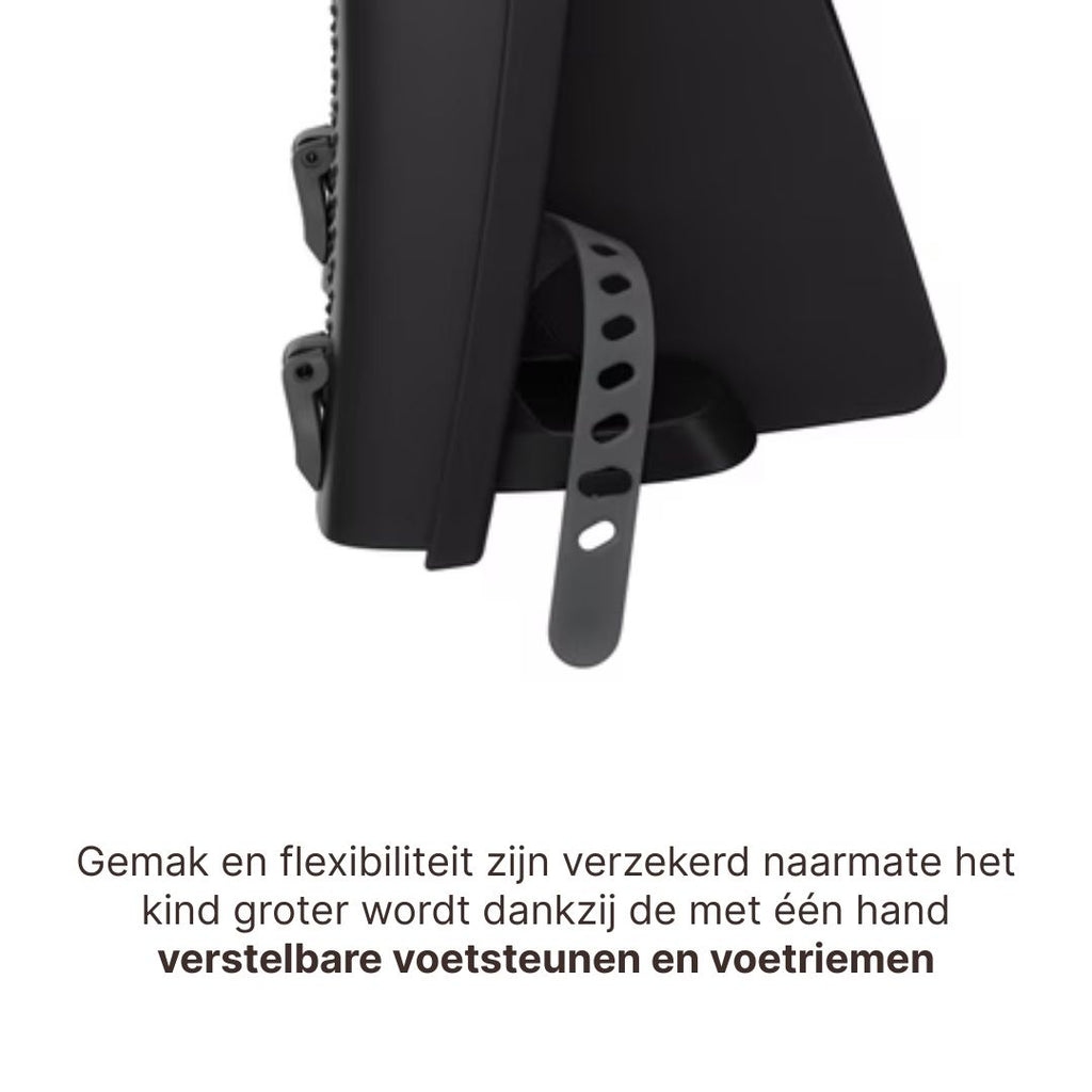 Thule Ride Along 2 Kantelbaar Fietsstoel Achterop Frame Montage | Donkergrijs