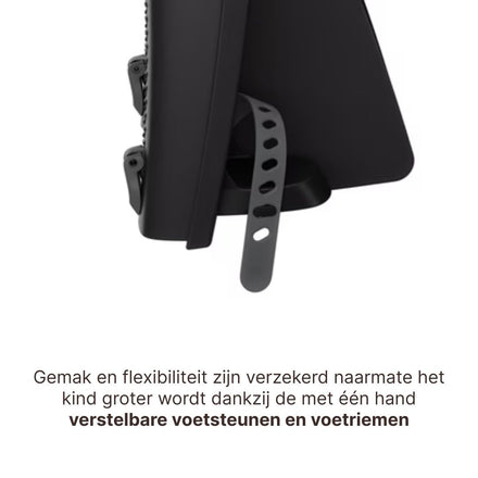 Thule Ride Along 2 Kantelbaar Fietsstoel Achterop Frame Montage | Donkergrijs