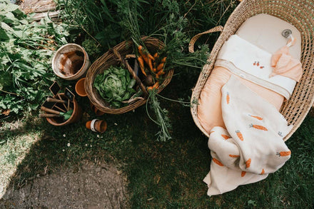 Koeka Wiegdeken I Carrot A Lot | Milky