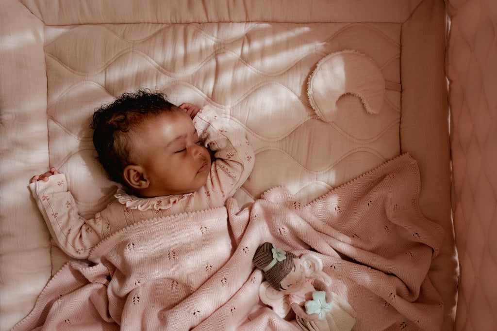 Little Dutch Boxomrander | Pure Blossom