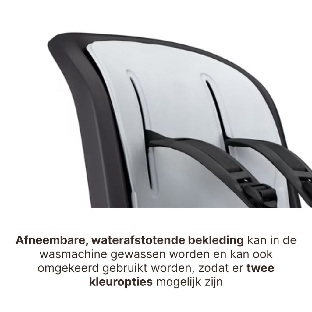 Thule Ride Along 2 Kantelbaar Fietsstoel Achterop Frame Montage | Donkergrijs