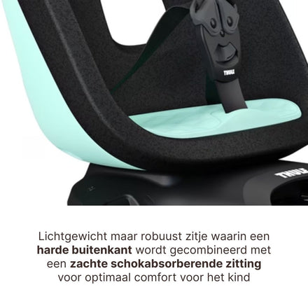 Thule Yepp Nexxt 2 Maxi Fietsstoel Achterop Frame Montage I Mint Green