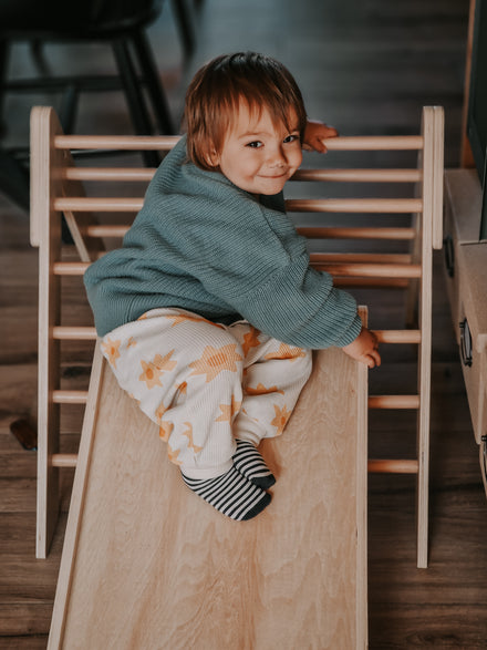 Tryco Houten Klimrek Met Glijbaan