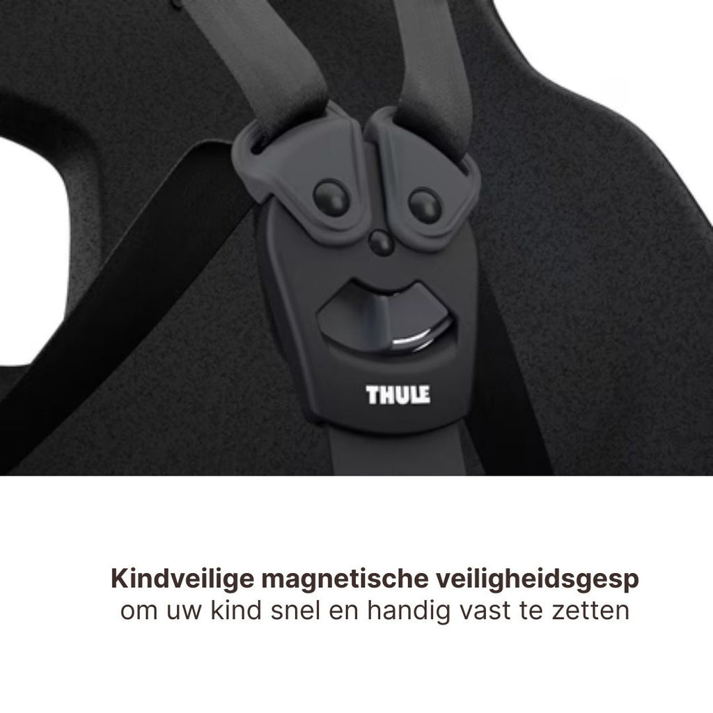 Thule Yepp Nexxt 2 Maxi Fietszitje Fietsstoel Achterop Bagagedrager Montage I Aquamarine