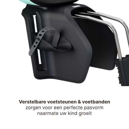 Thule Yepp Nexxt 2 Maxi Fietsstoel Achterop Frame Montage I Mint Green