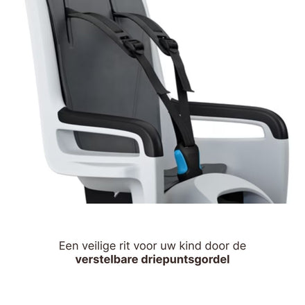 Thule Ride Along 2 Kantelbaar Fietsstoel Achterop Frame Montage | Lichtgrijs