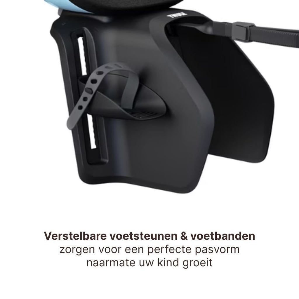 Thule Yepp Nexxt 2 Maxi Fietszitje Fietsstoel Achterop Bagagedrager Montage I Aquamarine