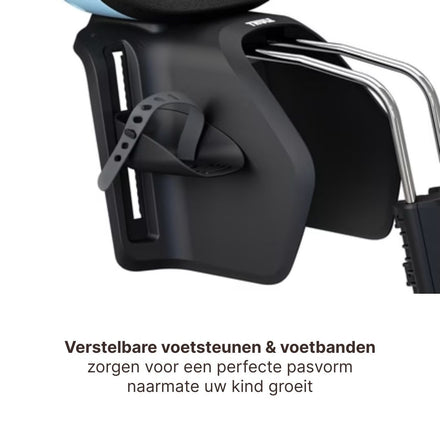 Thule Yepp Nexxt 2 Maxi Fietsstoel Achterop Frame Montage I Aquamarin