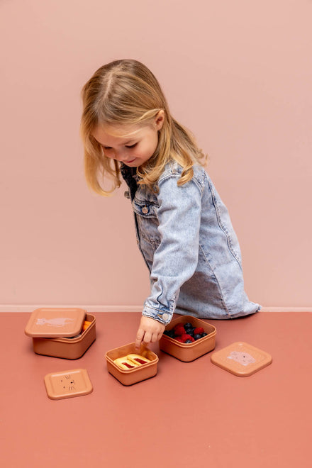 Trixie Snack Box Nesting 3PCS | Mrs. Cat