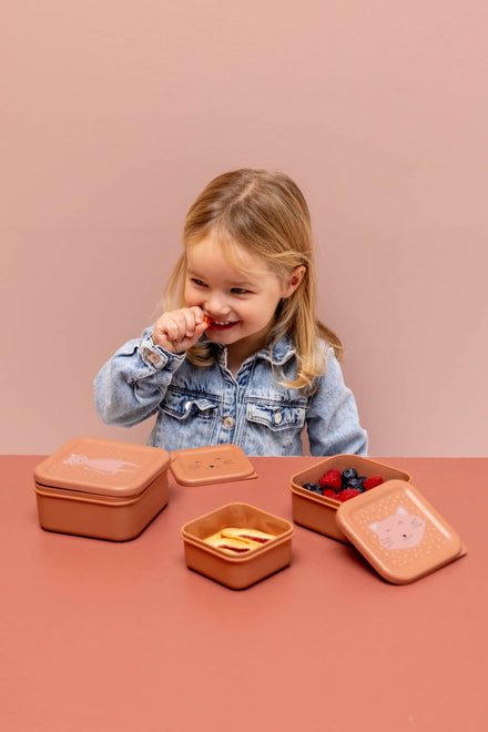 Trixie Snack Box Nesting 3PCS | Mrs. Cat