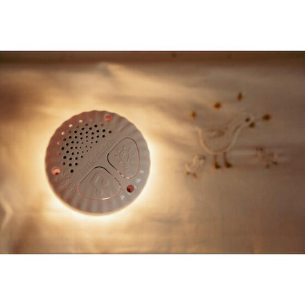 Little Dutch Knuffelkonijn Licht & Geluid