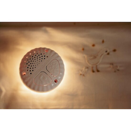 Little Dutch Knuffelkonijn Licht & Geluid