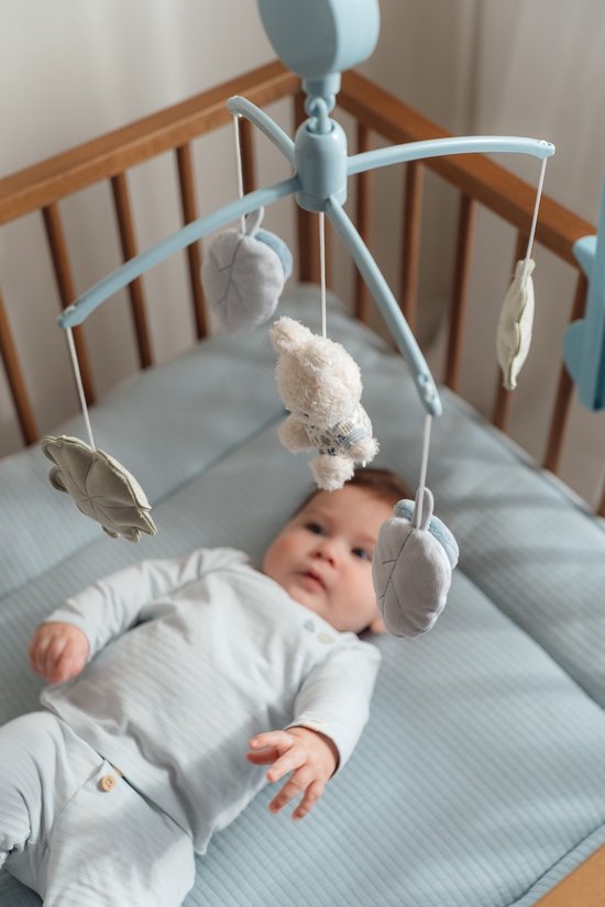 * Nijntje x Little Dutch Muziekmobiel | Lucky Leaves