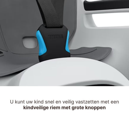 Thule Ride Along 2 Kantelbaar Fietsstoel Achterop Frame Montage | Lichtgrijs