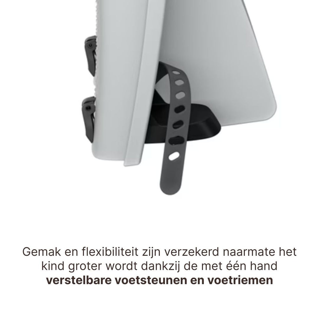 Thule Ride Along 2 Kantelbaar Fietsstoel Achterop Frame Montage | Lichtgrijs