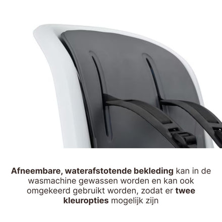 Thule Ride Along 2 Kantelbaar Fietsstoel Achterop Frame Montage | Lichtgrijs