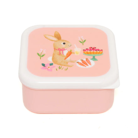 Petit Monkey Set 3 Snack Boxen | Animals Picnic