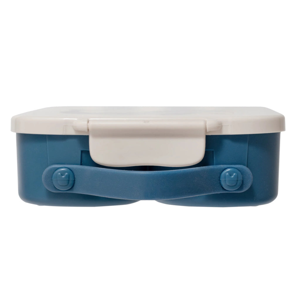 Petit Monkey Bento Lunchbox Met Vakjes | Walvis