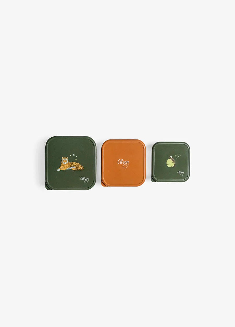 Citron RVS snackdoosjes Tiger set van 3