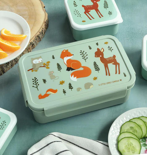 A Little Lovely Company Lunch Box Met Verdeelvakjes | Bosvriendjes