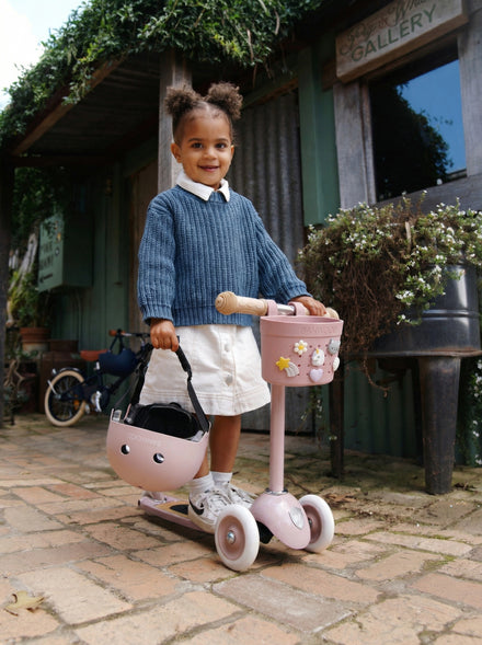 Banwood Fietsmandje Pin & Ride | Dusty Rose