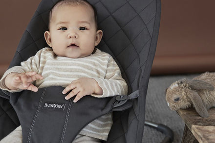 Babybjörn Bouncer Bliss Wipstoeltje | Anthracite
