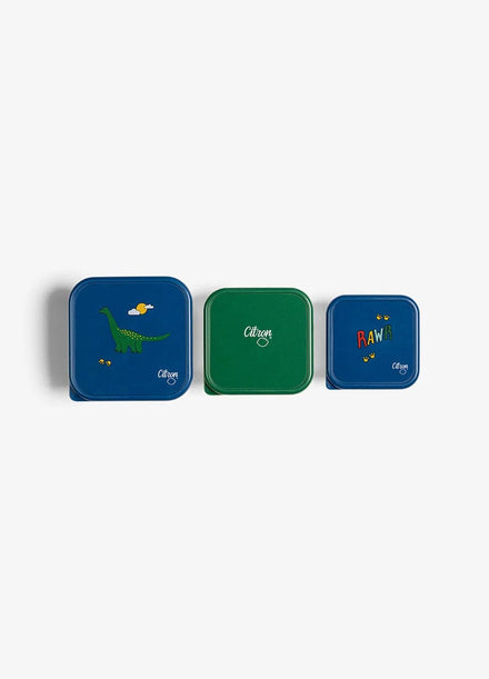 Citron RVS Snack Box Set | Dino