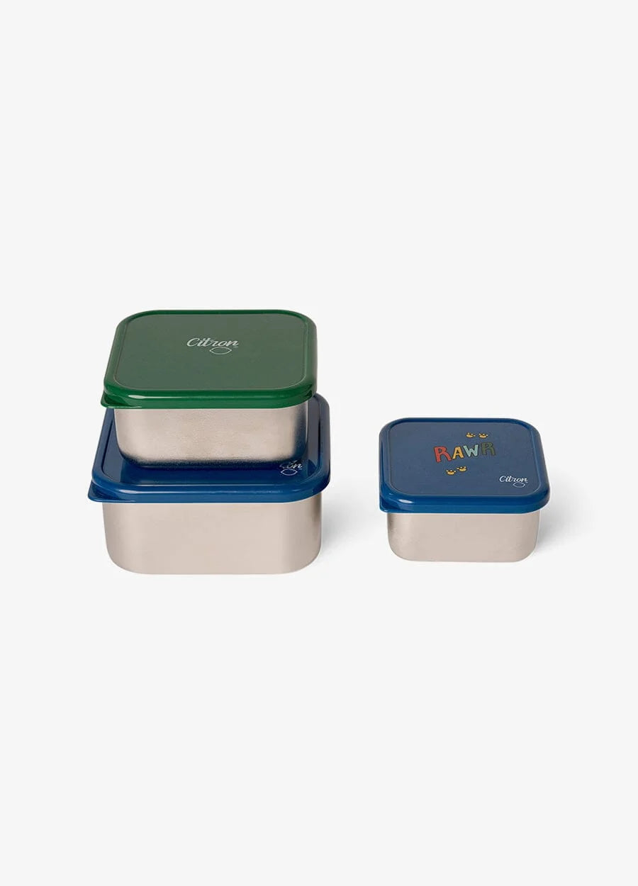 Citron RVS Snack Box Set | Dino