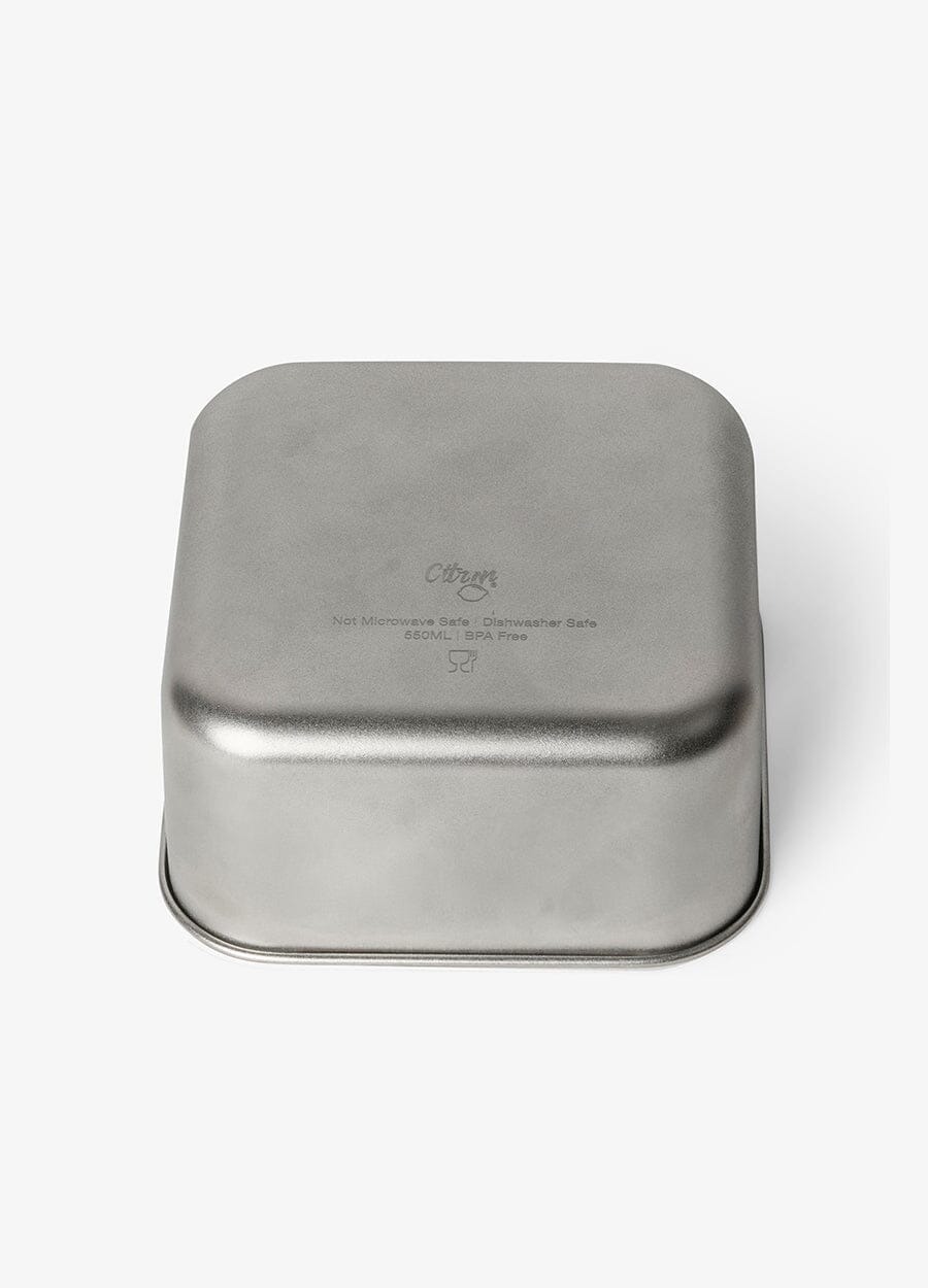 Citron RVS Snack Box Set | Dino