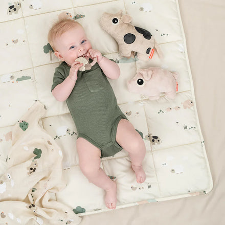 Done By Deer Knuffeltje Pigee Powder