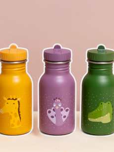 🐯 Wild Animals