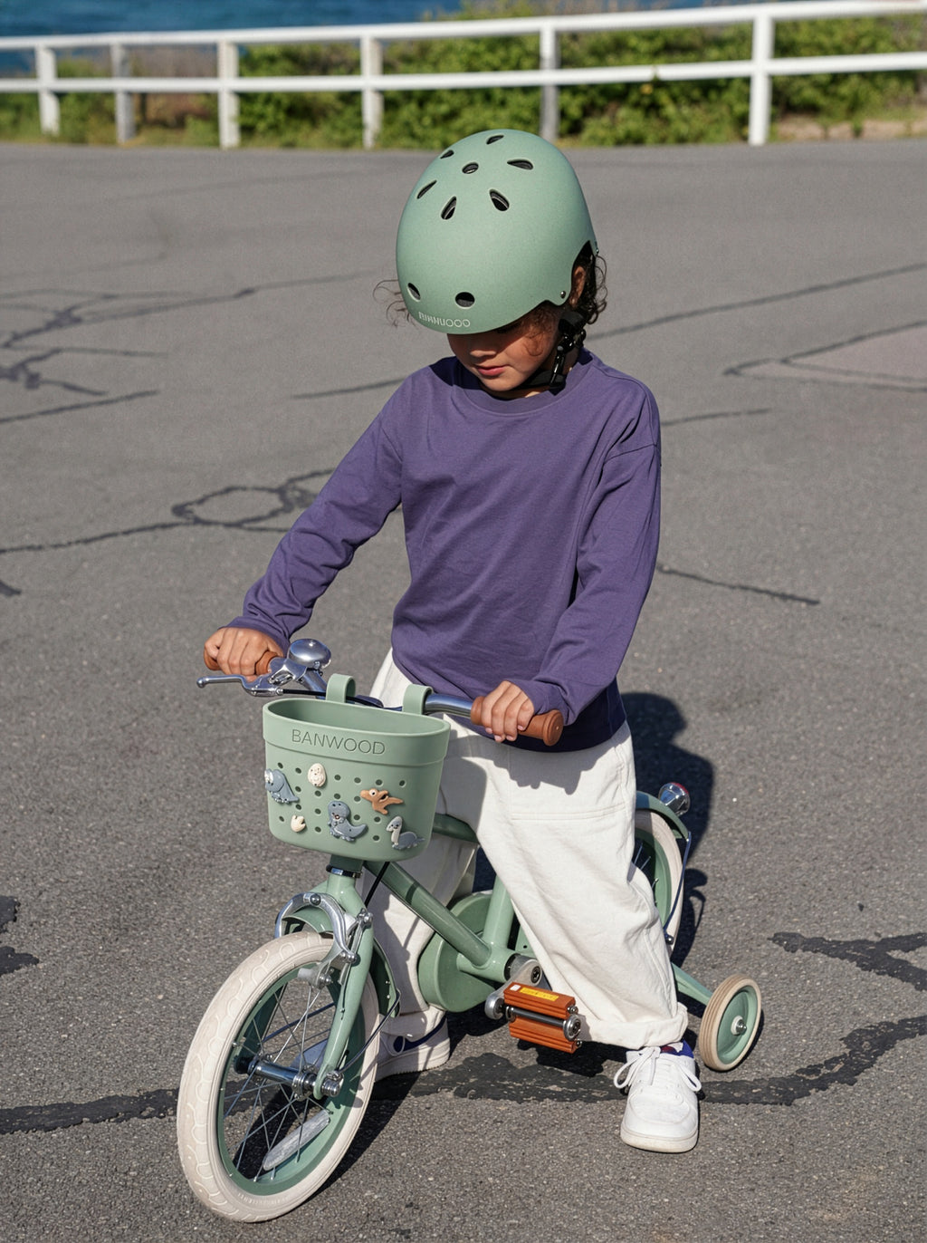 Banwood Pins voor Fietsmandje Dino geven elke fiets of step een upgrade, De Gele Flamingo
