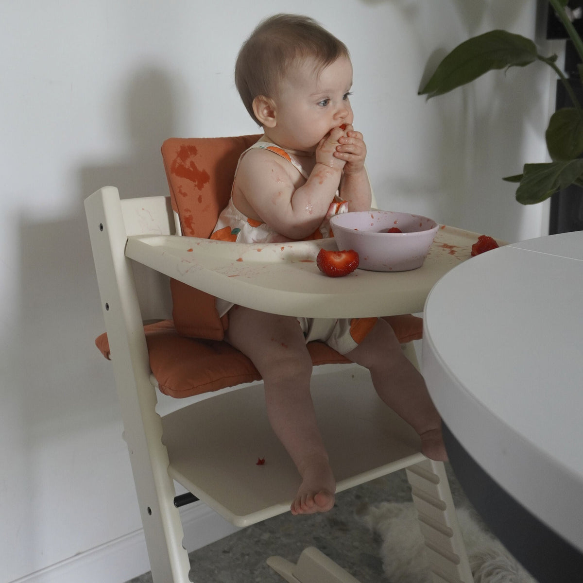 Stokke Tripp Trapp Eettablet Vanilla White, packshot op witte achtergrond