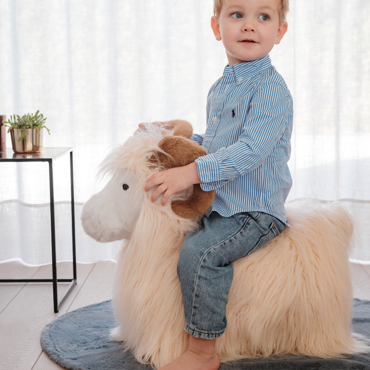 Wild & Soft Bouncy Ram, jongen in blauw hemd zit op de witte ram met krulhoorns