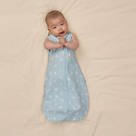 Ergopouch Cocoon Inbaker Slaapzak 3-6M 62-68cm Tog 2.5 | Ducks