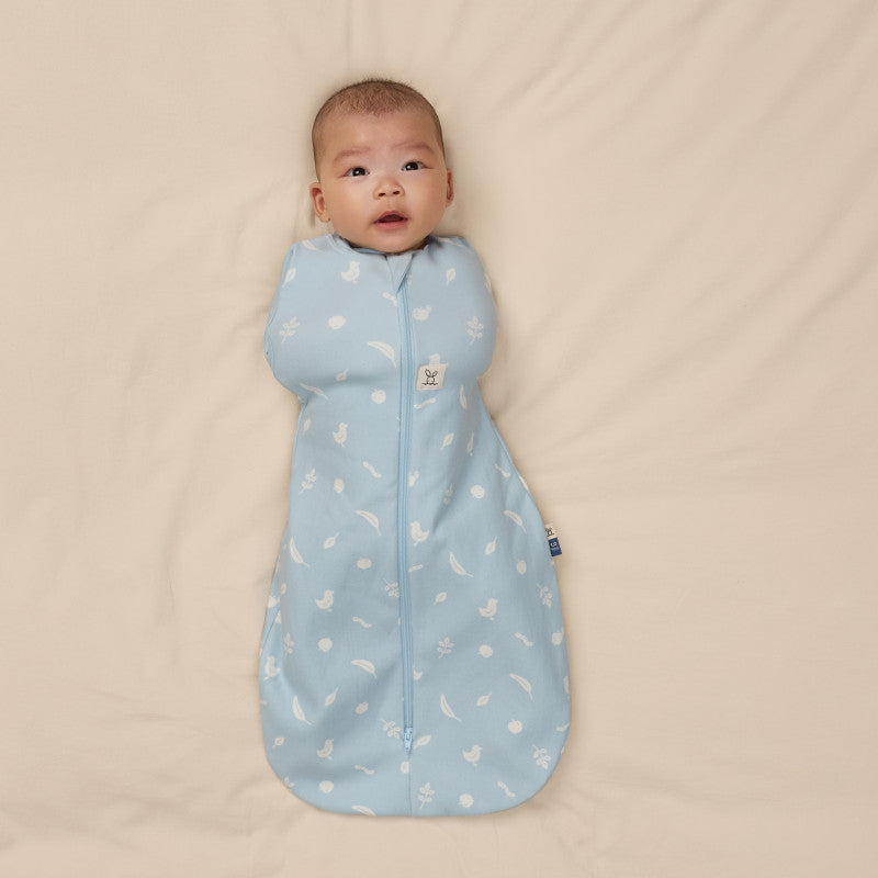 Ergopouch Cocoon Inbaker Slaapzak 0-3M 62cm Tog 2.5 | Ducks