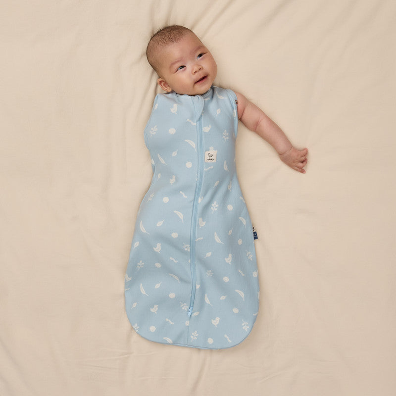 Ergopouch Cocoon Inbaker Slaapzak 3-6M 62-68cm Tog 2.5 | Ducks