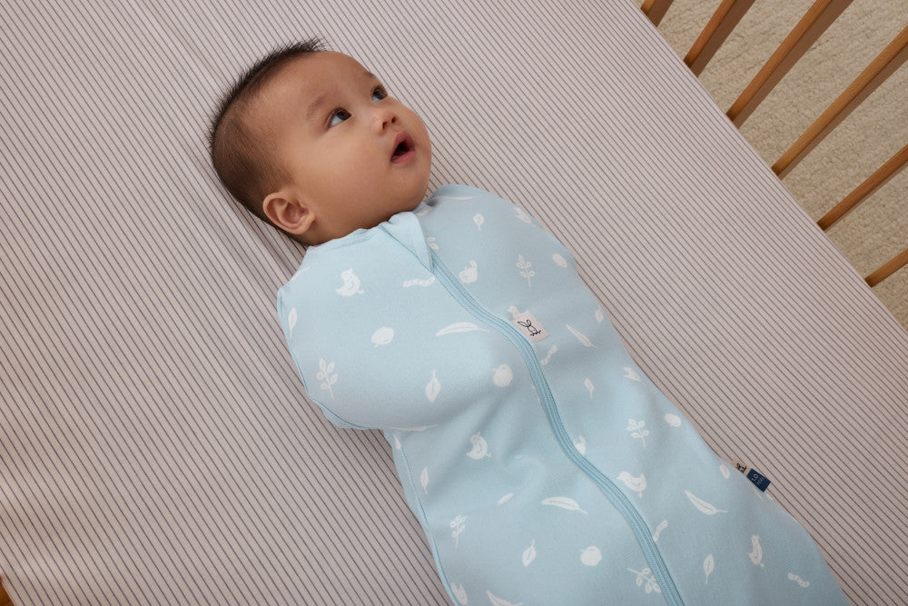 Ergopouch Cocoon Inbaker Slaapzak 0-3M 62cm Tog 2.5 | Ducks