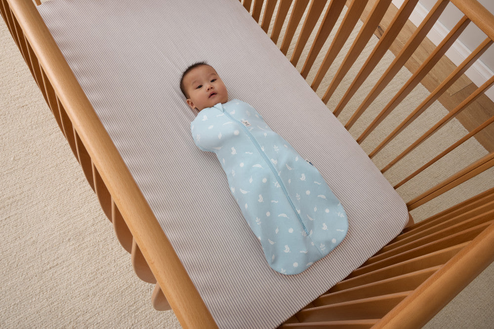 Ergopouch Cocoon Inbaker Slaapzak 3-6M 62-68cm Tog 2.5 | Ducks