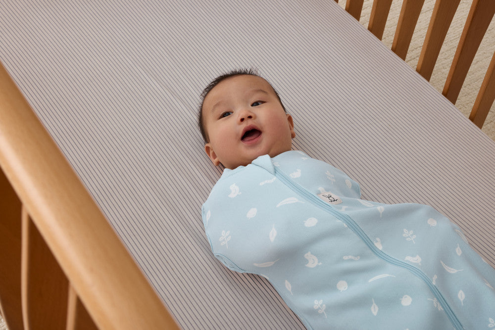 Ergopouch Cocoon Inbaker Slaapzak 0-3M 62cm Tog 2.5 | Ducks