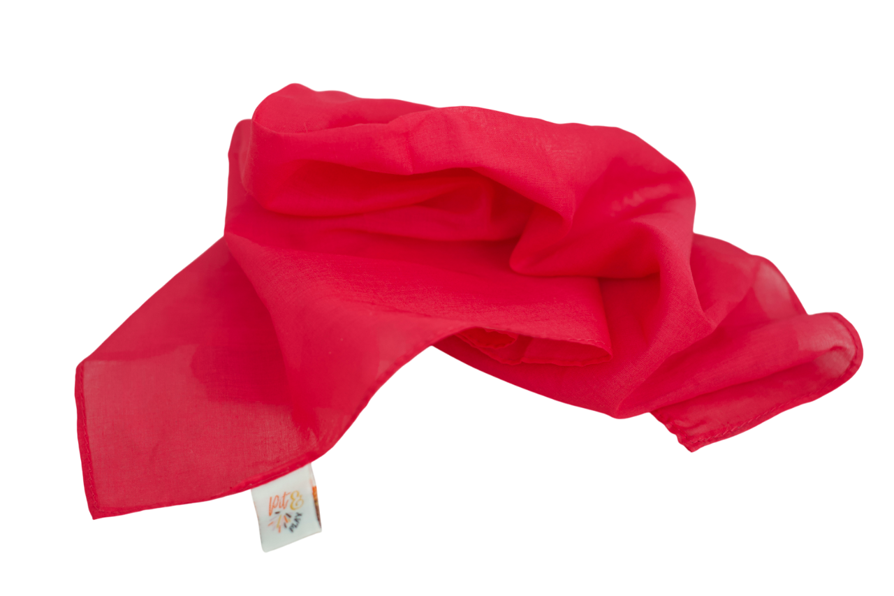 Pit & Play Regenboog Speeldoek 48x48cm | Felroze